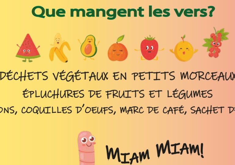 Que mangent les vers de terre