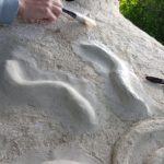 Kerterre du Parc PawPaw Ateliers l'Art de la Terre