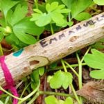 Atelier du Vivant Sifflet en Sureau au Parc PawPaw