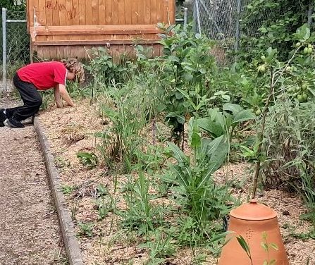JARDIN-fORÊT A L'ECOLE - LES OUCHES