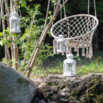 Mare de l'Alyte Accoucheur | Parc PawPaw