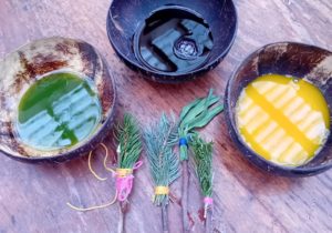 Peinture végétale Tataki Zomé au Parc PawPaw