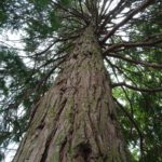 IMG-20240314-WA0024 (1)